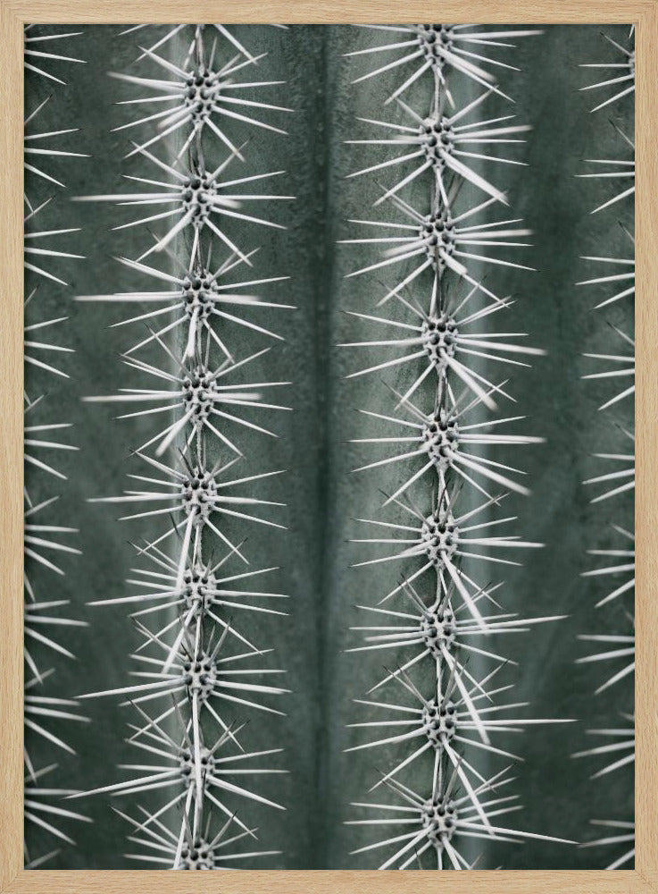 Cactus green - Poster / Art Print