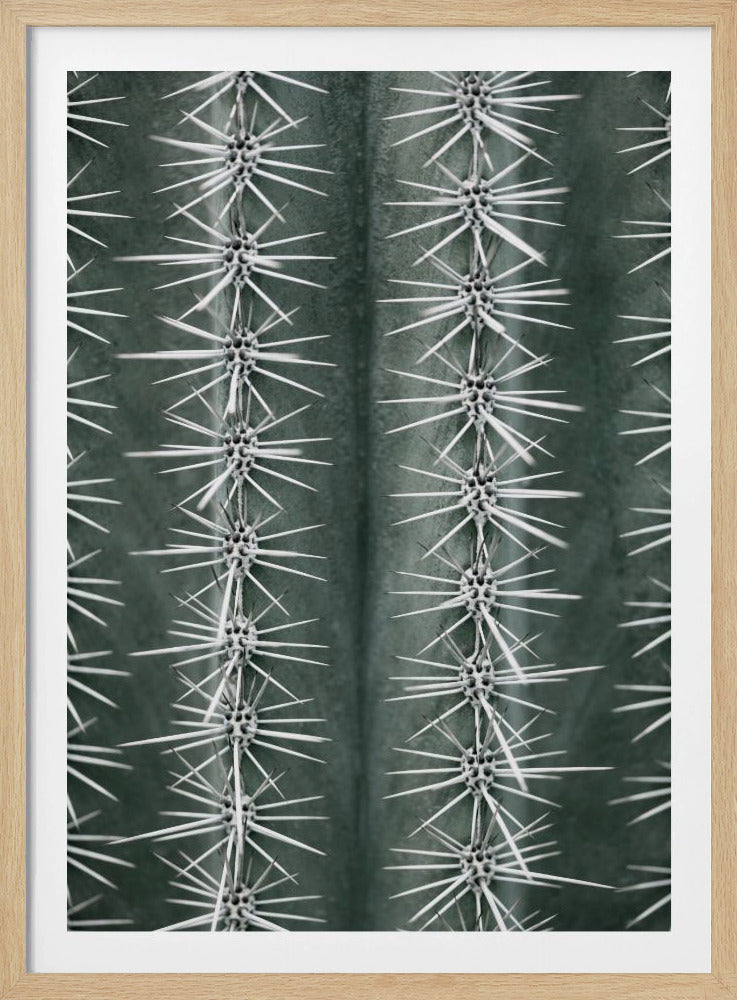 Cactus green - Poster / Art Print