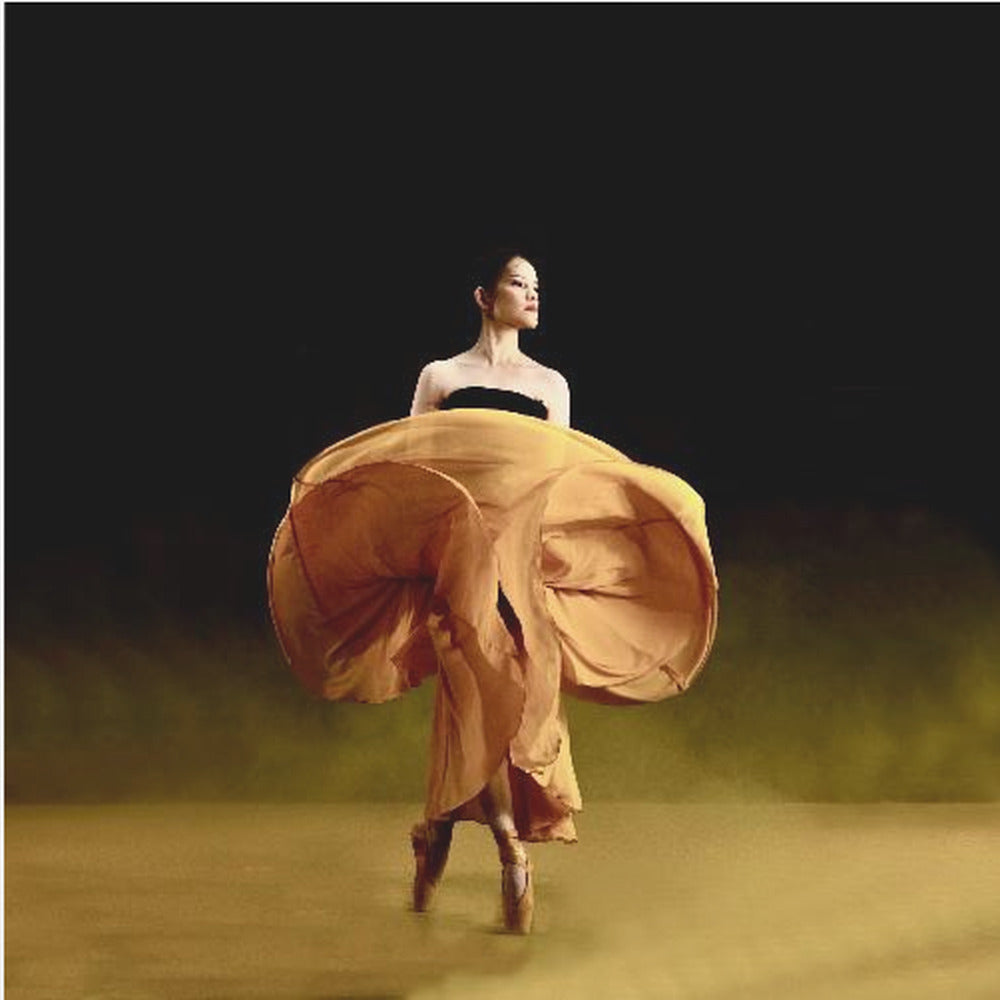 Ballerina dancer’s - Poster / Art Print