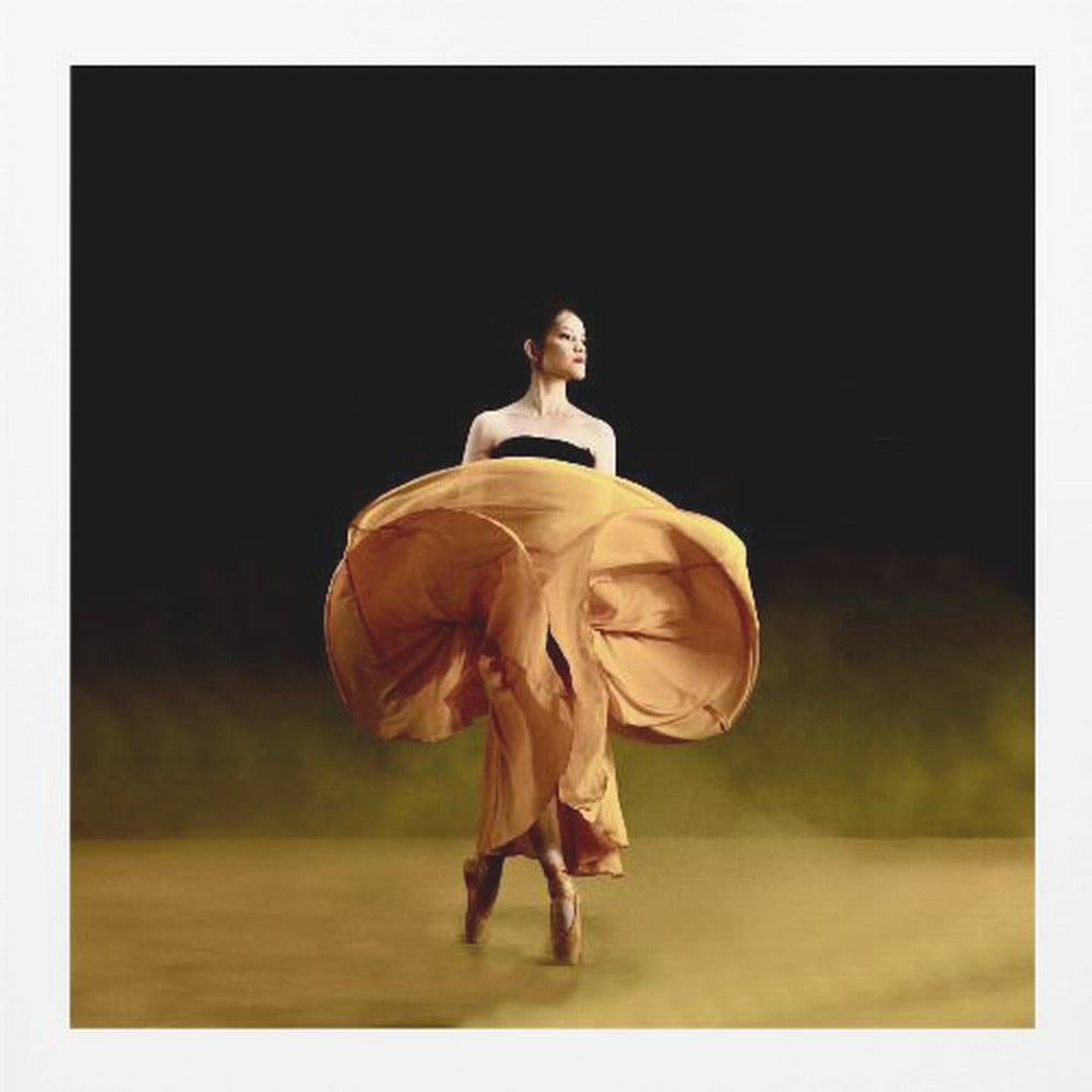 Ballerina dancer’s - Poster / Art Print