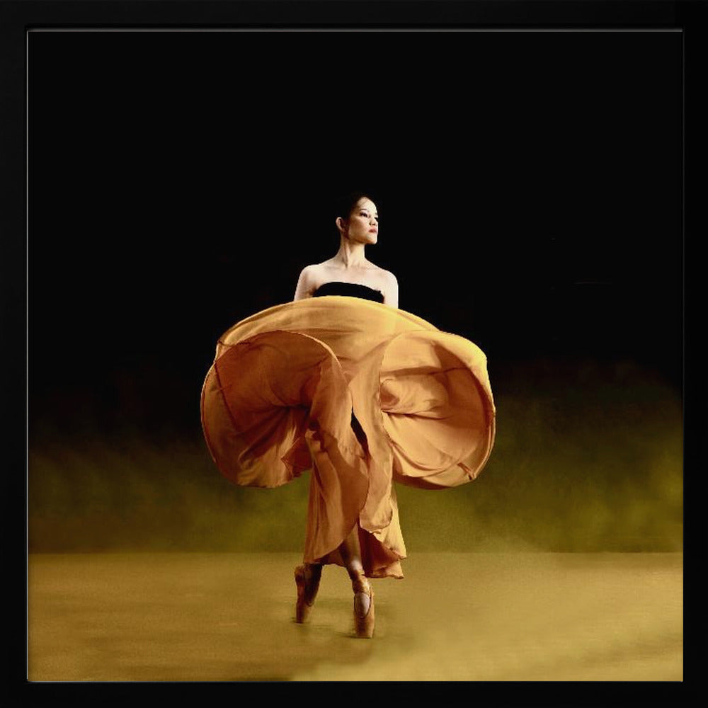 Ballerina dancer’s - Poster / Art Print