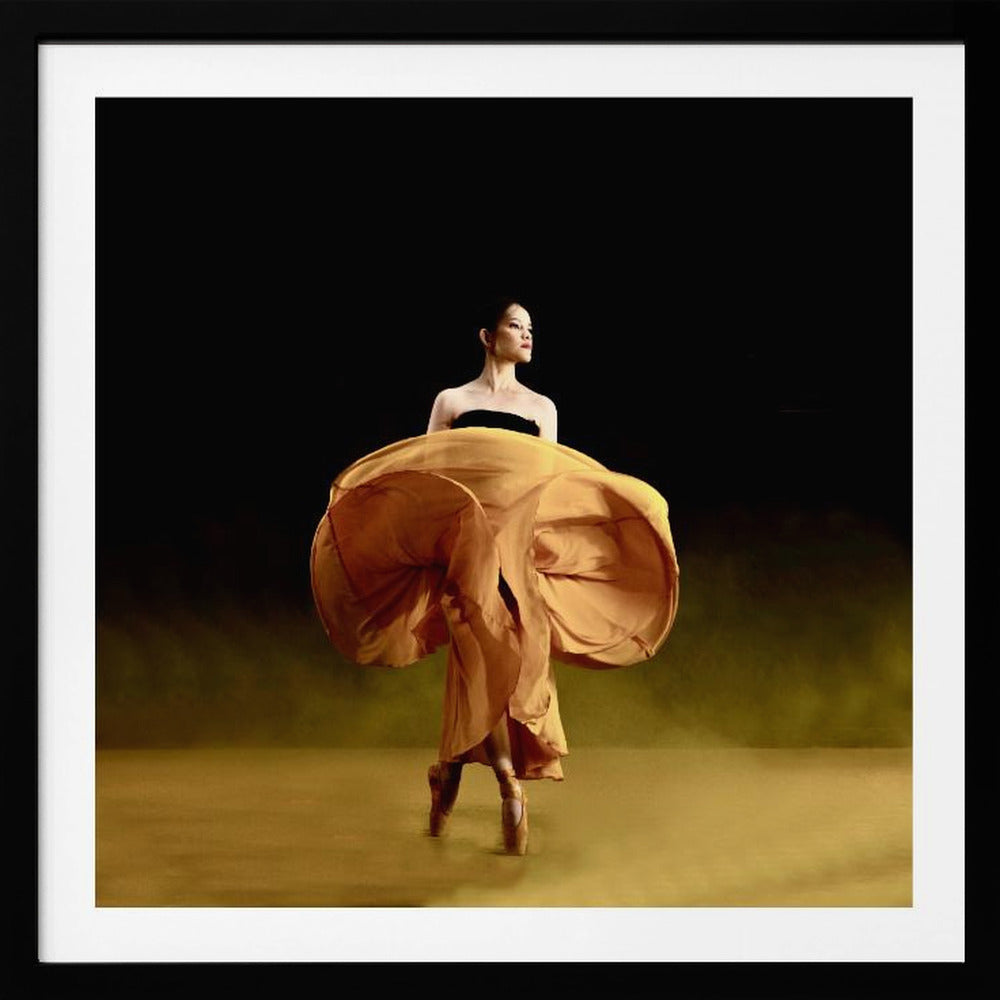 Ballerina dancer’s - Poster / Art Print