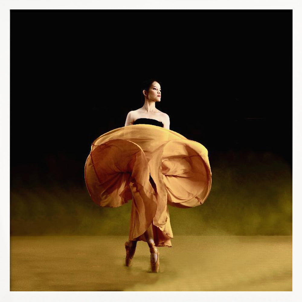 Ballerina dancer’s - Poster / Art Print