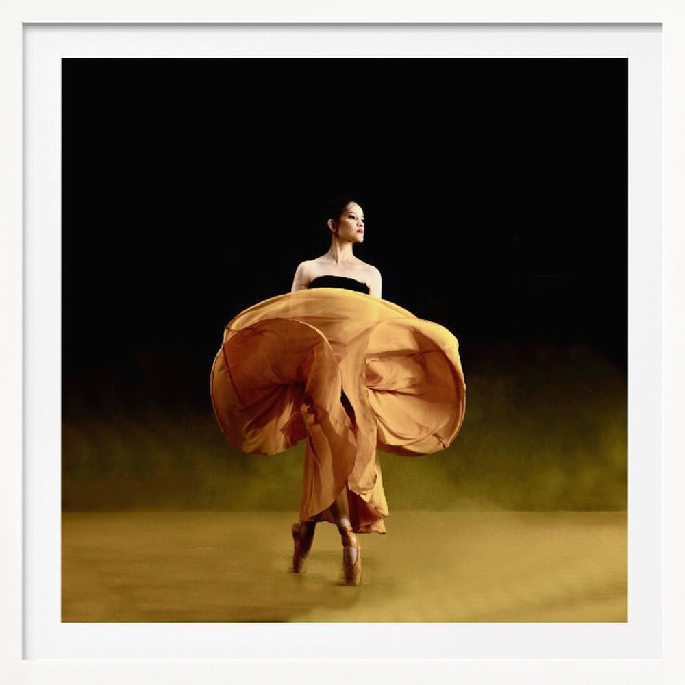 Ballerina dancer’s - Poster / Art Print