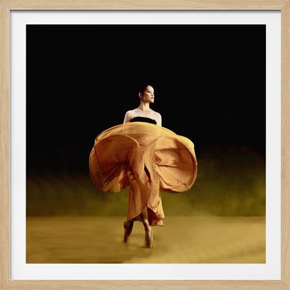 Ballerina dancer’s - Poster / Art Print