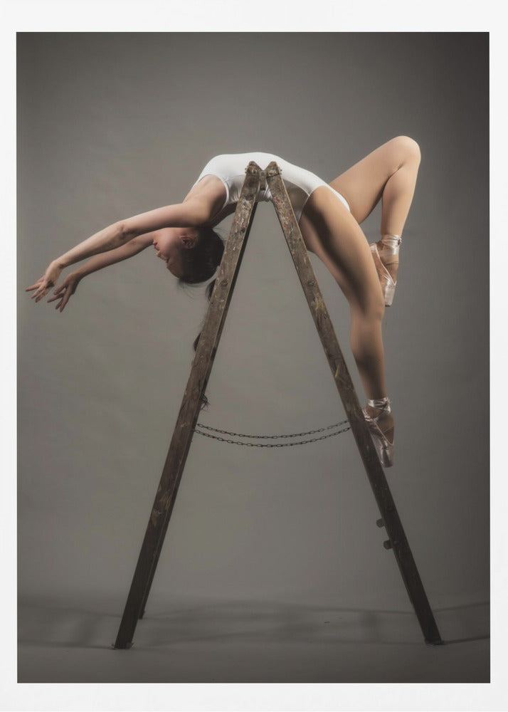 how to use a ladder - Poster / Art Print