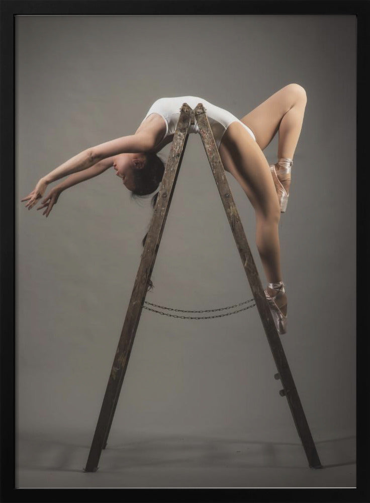 how to use a ladder - Poster / Art Print