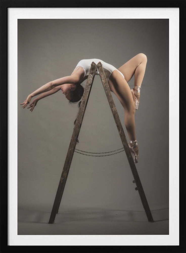 how to use a ladder - Poster / Art Print