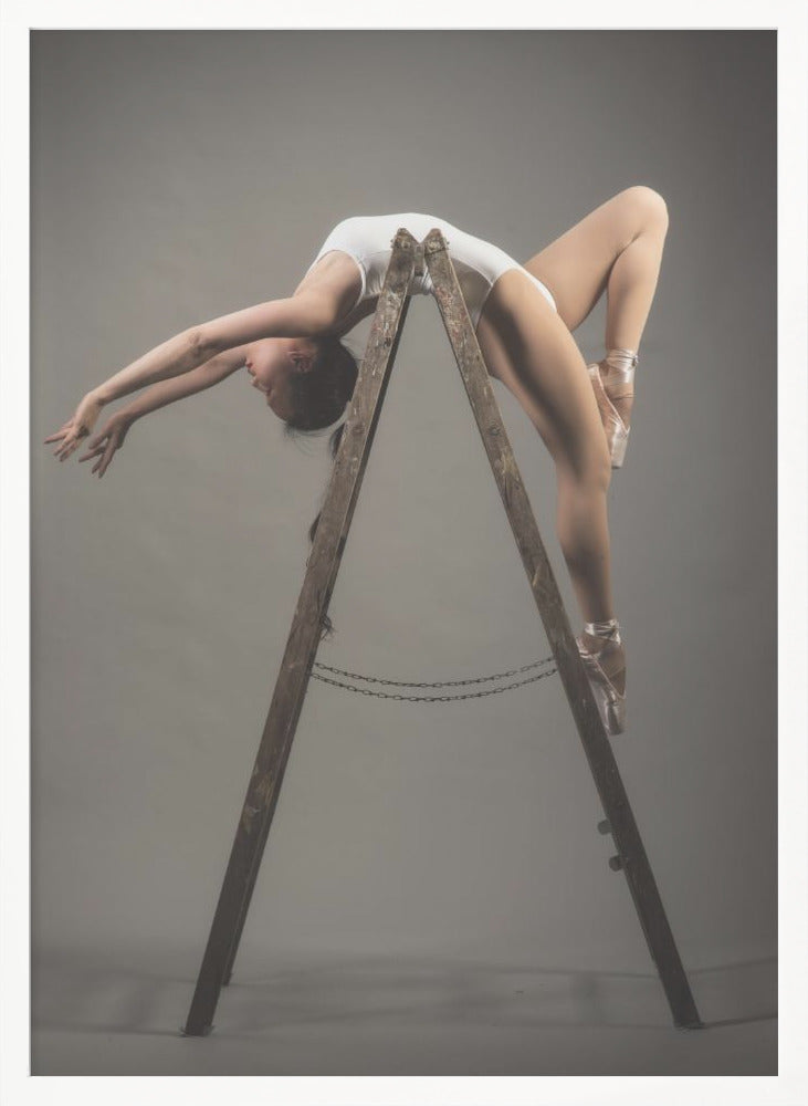 how to use a ladder - Poster / Art Print