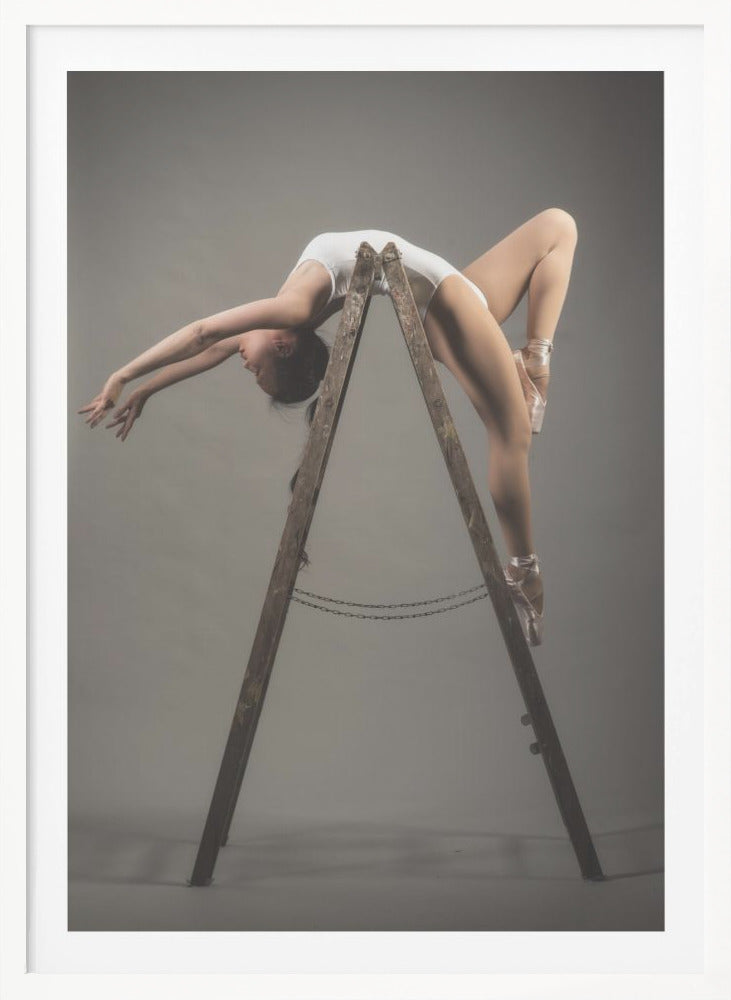 how to use a ladder - Poster / Art Print