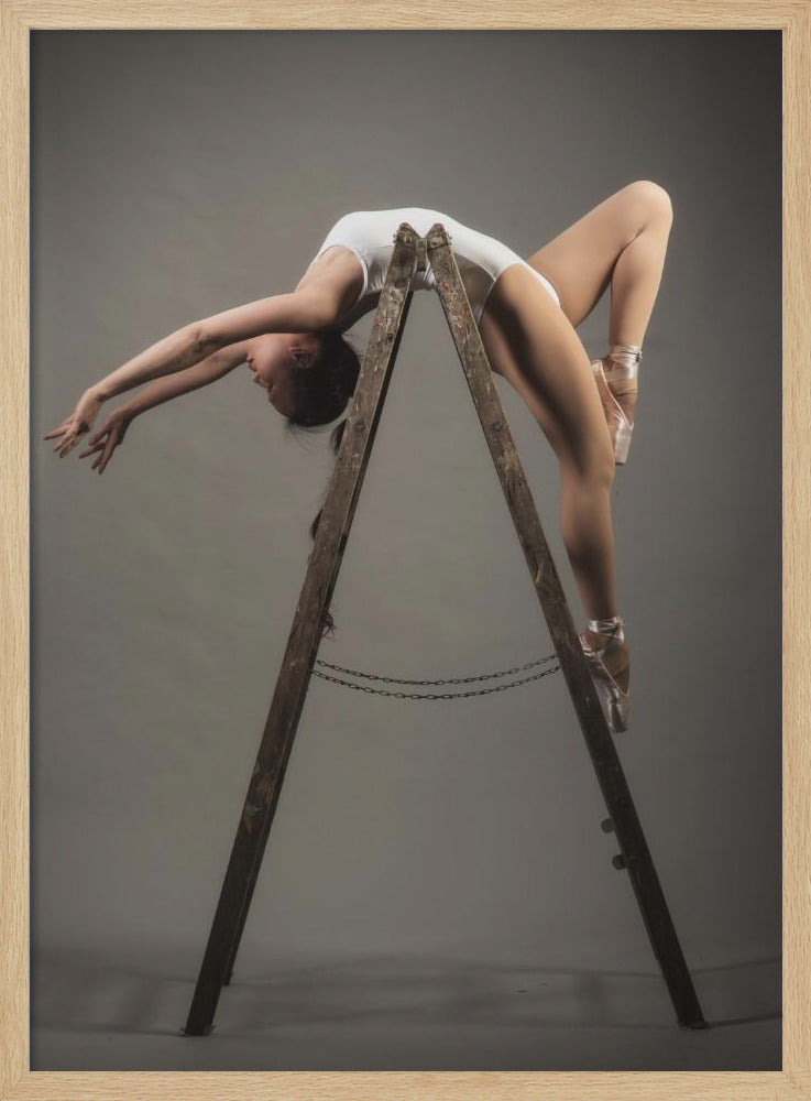 how to use a ladder - Poster / Art Print