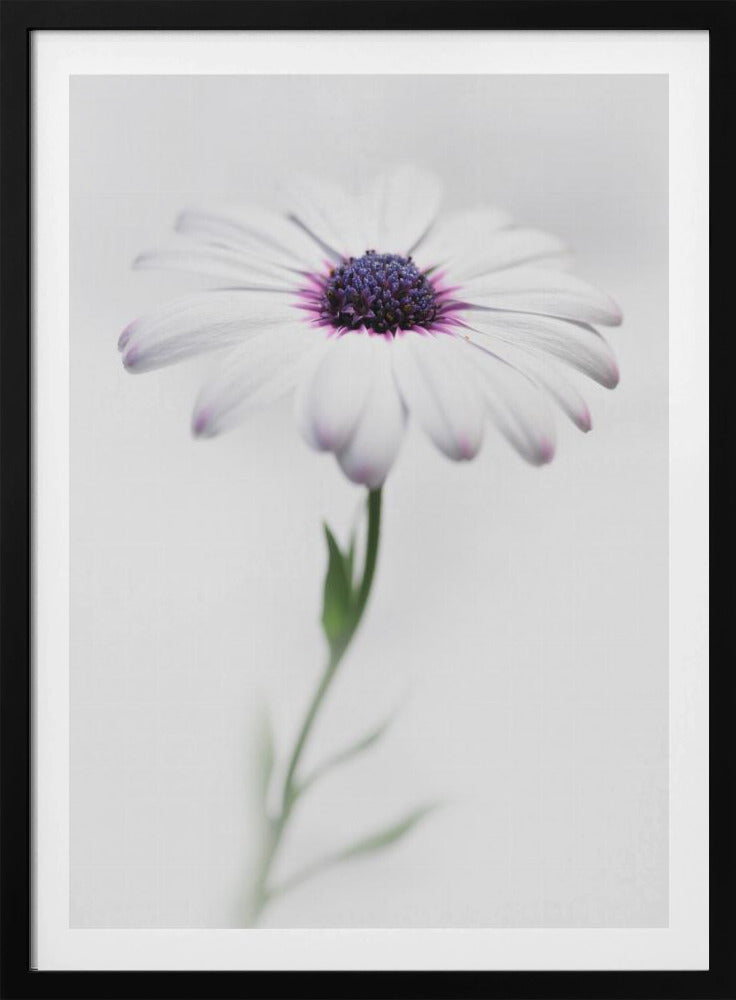 In my garden_3 - Poster / Art Print