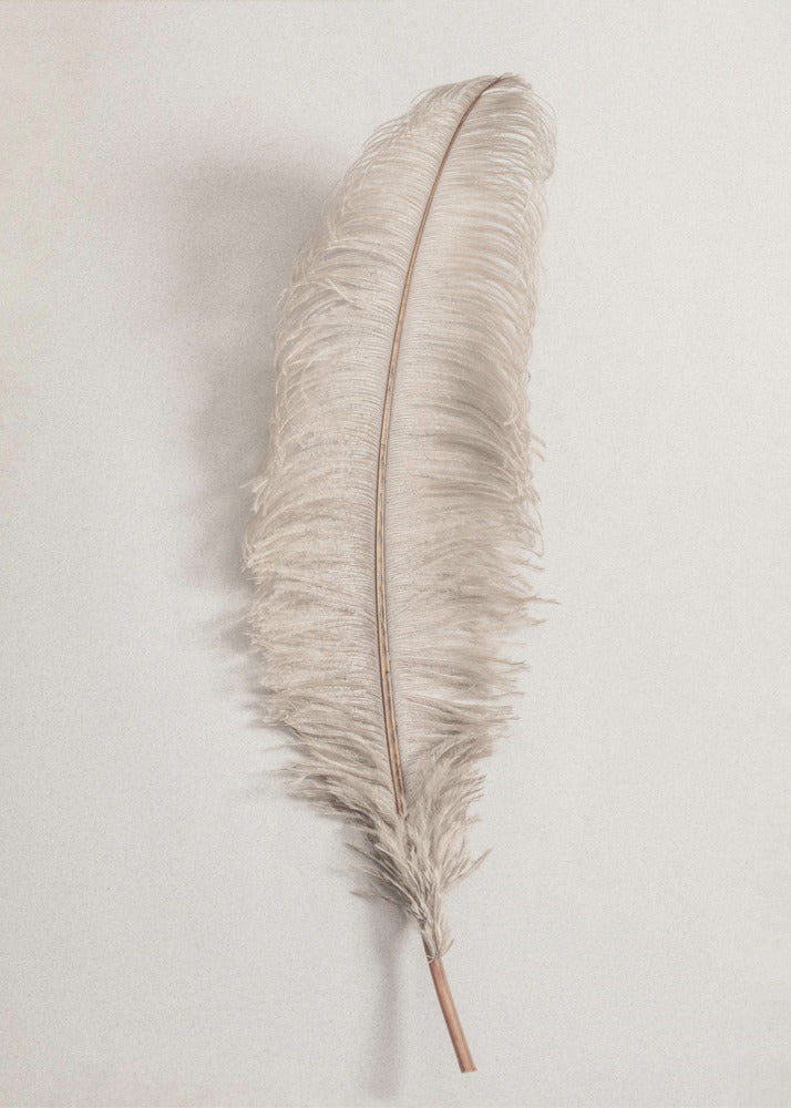 Feather_002 - Poster / Art Print
