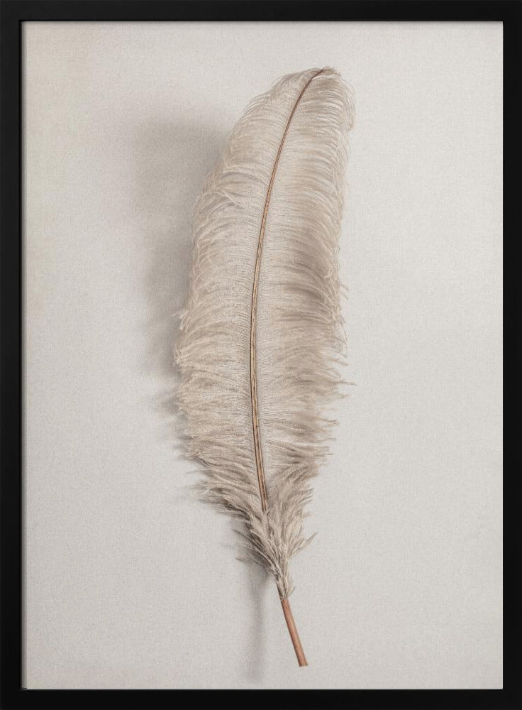 Feather_002 - Poster / Art Print
