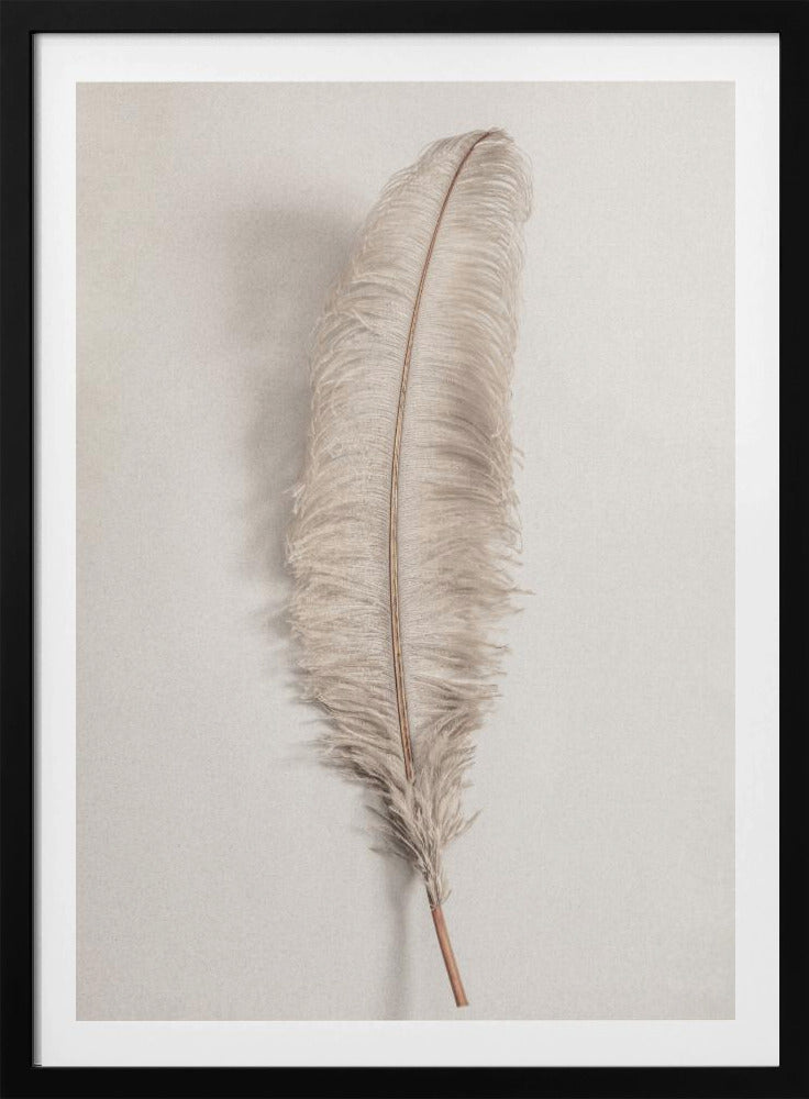 Feather_002 - Poster / Art Print