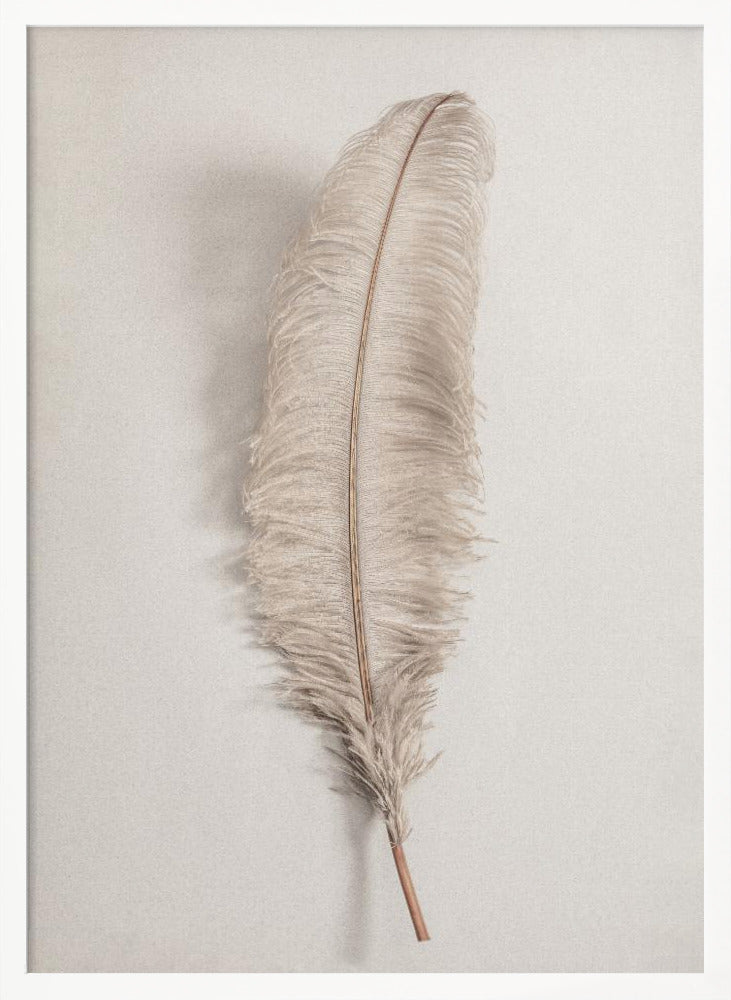 Feather_002 - Poster / Art Print