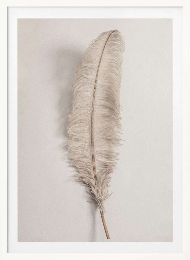 Feather_002 - Poster / Art Print