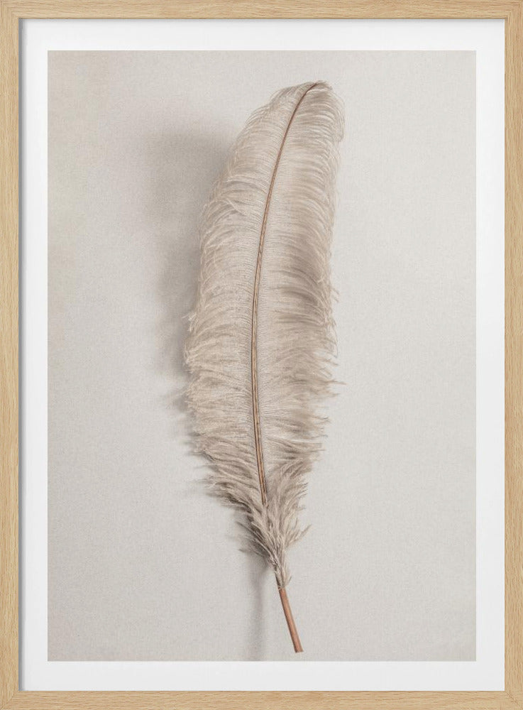 Feather_002 - Poster / Art Print