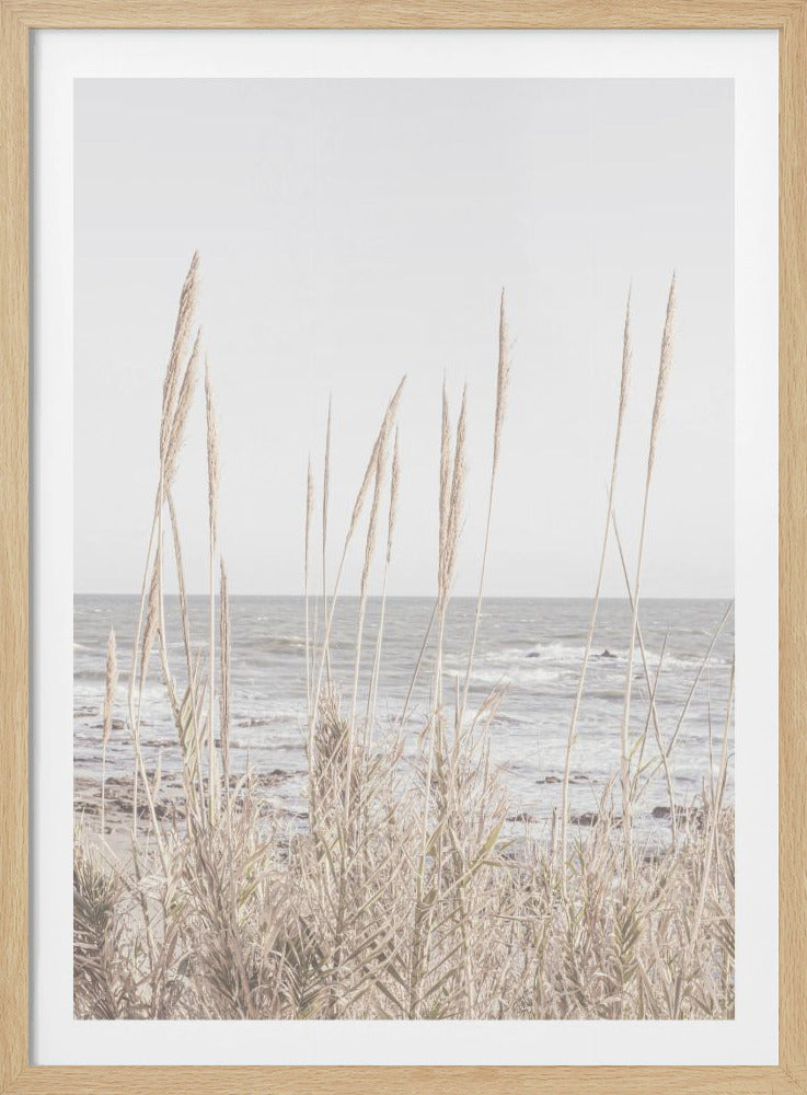 Beach_Vass_001 - Poster / Art Print