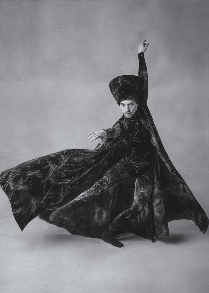 The sorcerer - Poster / Art Print