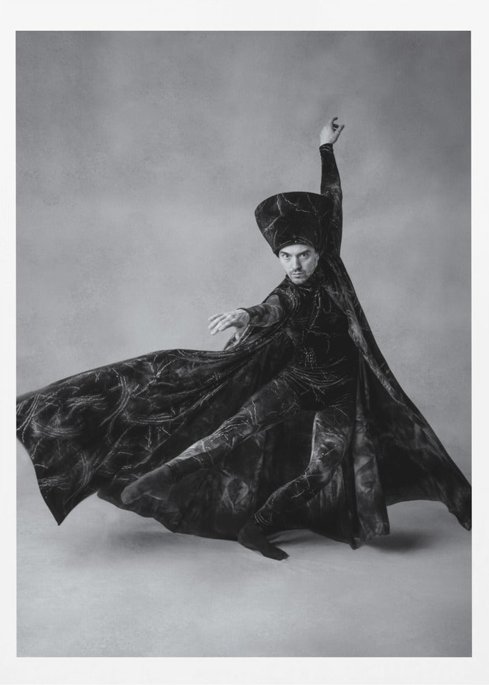 The sorcerer - Poster / Art Print