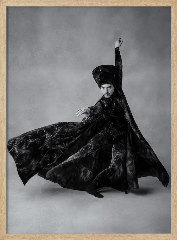 The sorcerer - Poster / Art Print