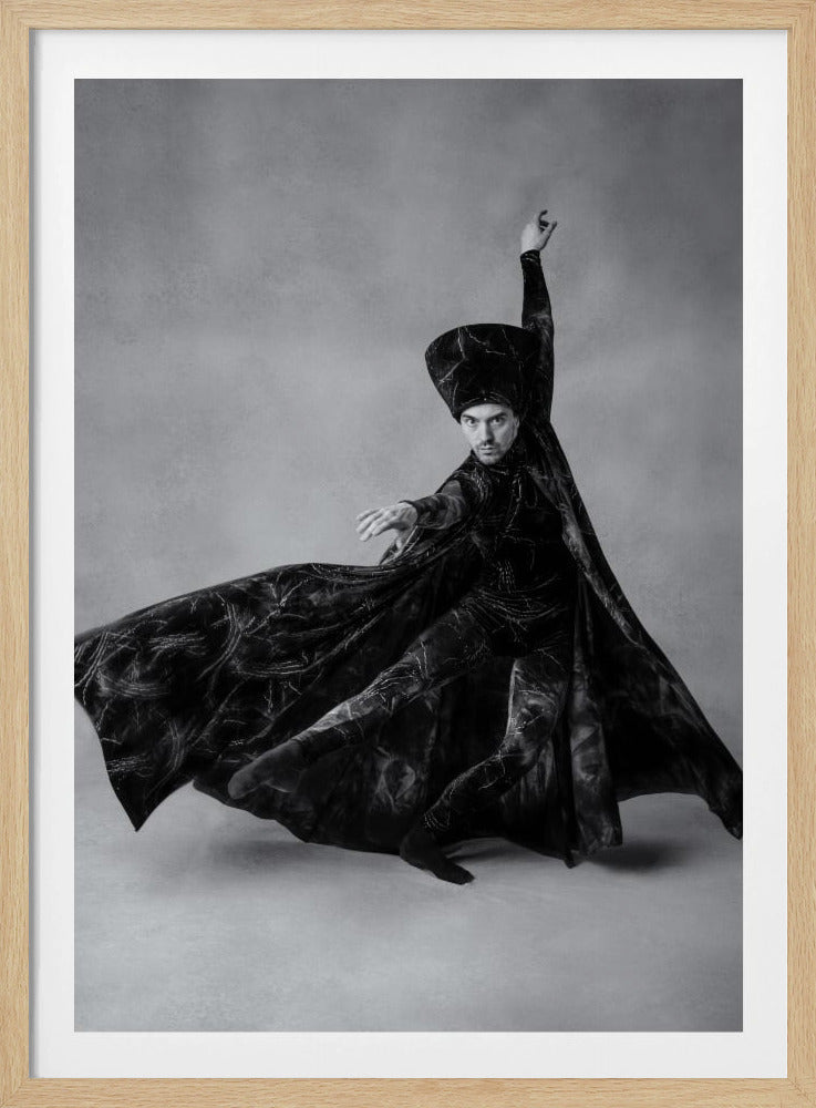 The sorcerer - Poster / Art Print