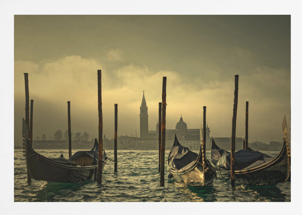 Light in the mist - Poster / Art Print