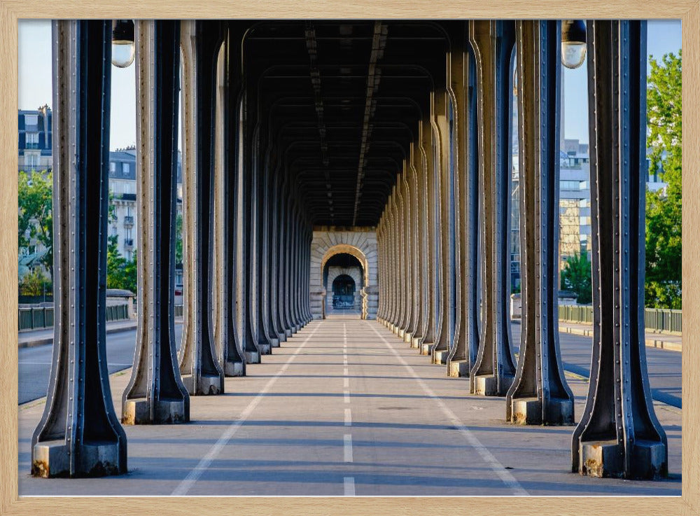 Bir Hakeim bridge perspective Paris - Poster / Art Print