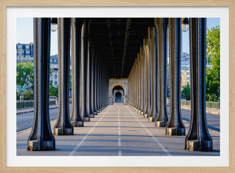 Bir Hakeim bridge perspective Paris - Poster / Art Print
