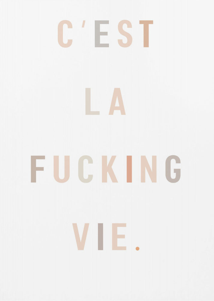C'est la fucking vie - Poster / Art Print
