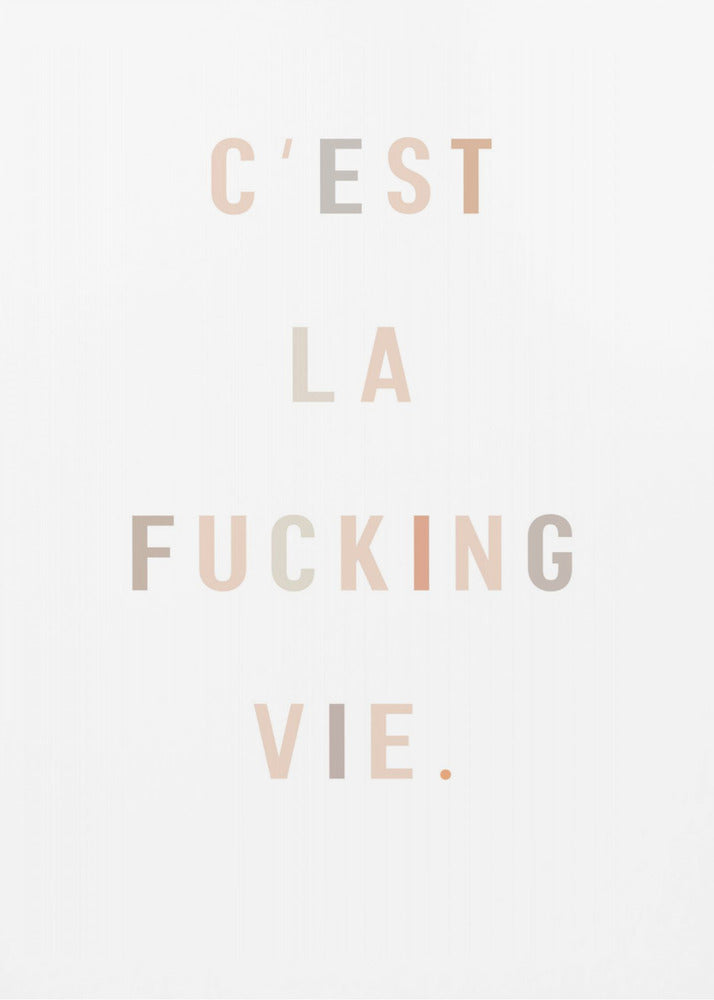 C'est la fucking vie - Poster / Art Print
