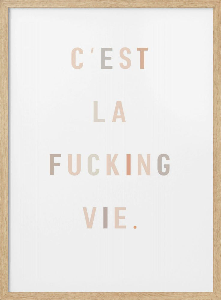 C'est la fucking vie - Poster / Art Print