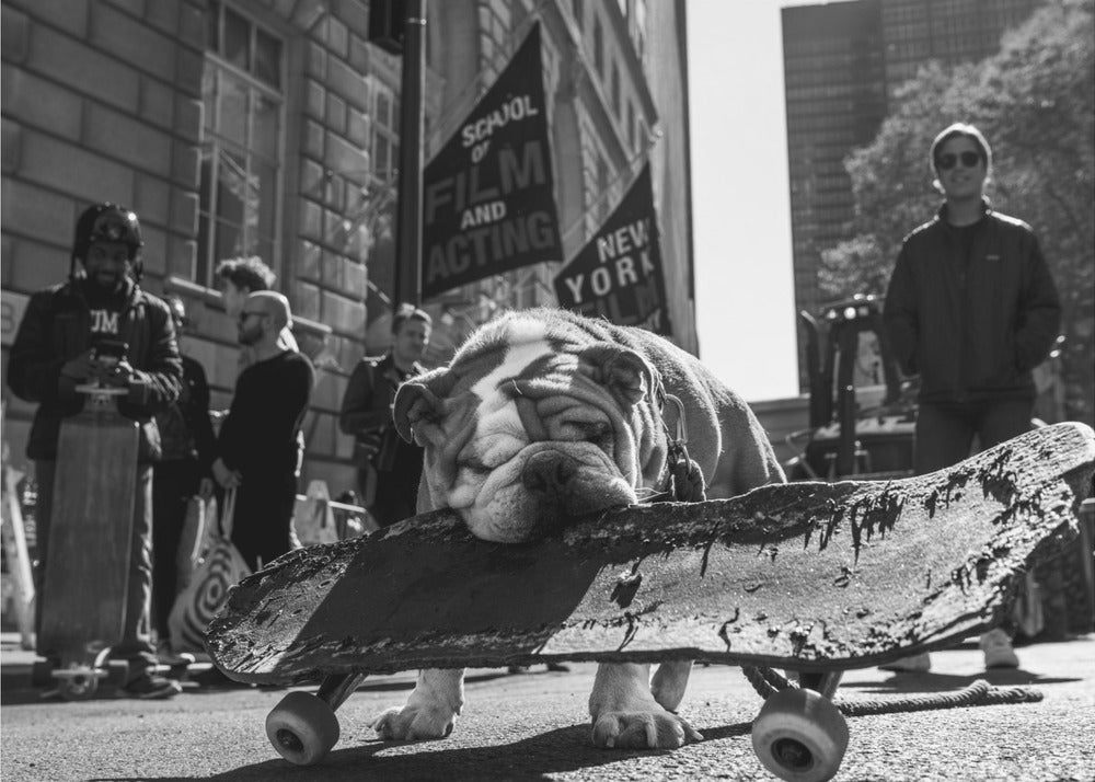 Broadway Bomb - Poster / Art Print