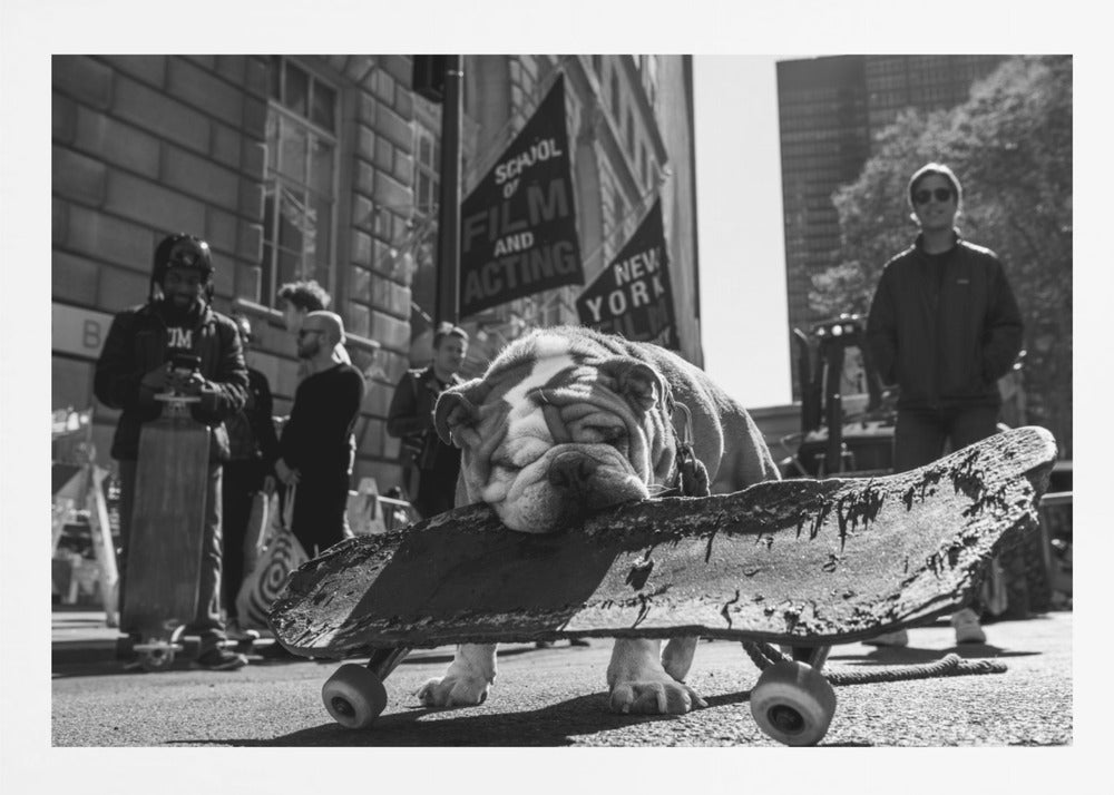 Broadway Bomb - Poster / Art Print