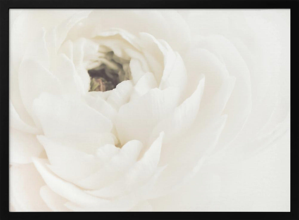 White Flower 02 - Poster / Art Print