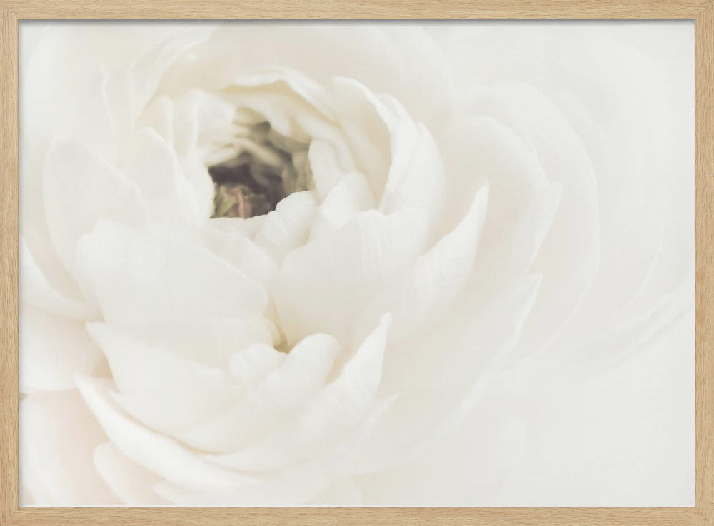 White Flower 02 - Poster / Art Print