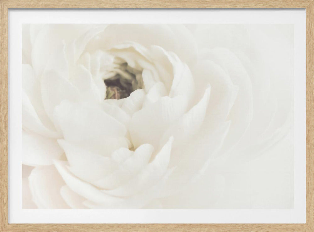White Flower 02 - Poster / Art Print