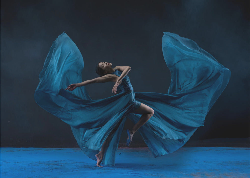 Butterfly Wardrobe - Poster / Art Print