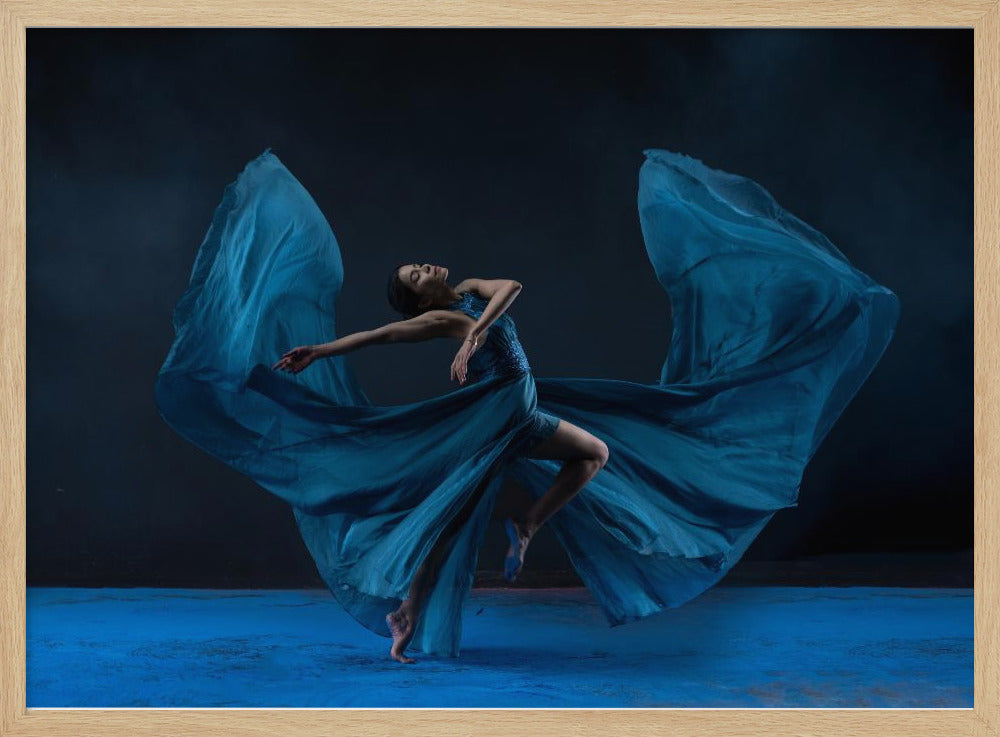 Butterfly Wardrobe - Poster / Art Print