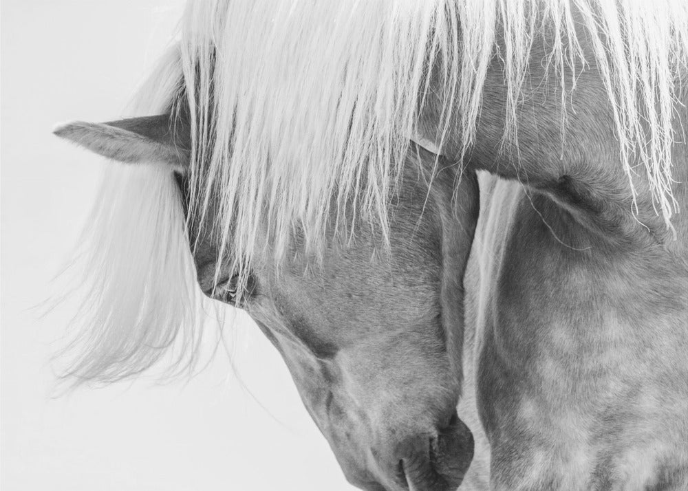 Halfling Portrait - Poster / Art Print