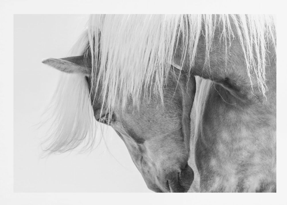 Halfling Portrait - Poster / Art Print