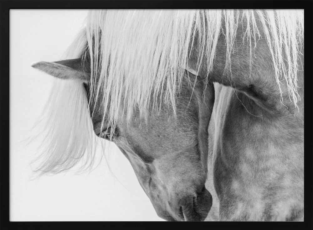 Halfling Portrait - Poster / Art Print