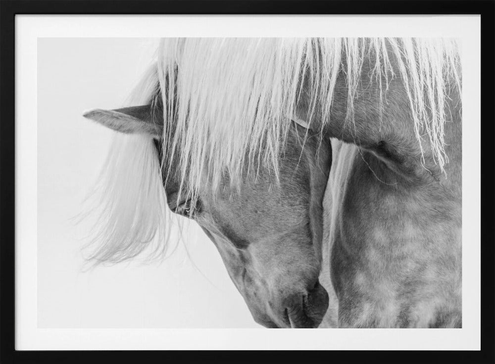 Halfling Portrait - Poster / Art Print