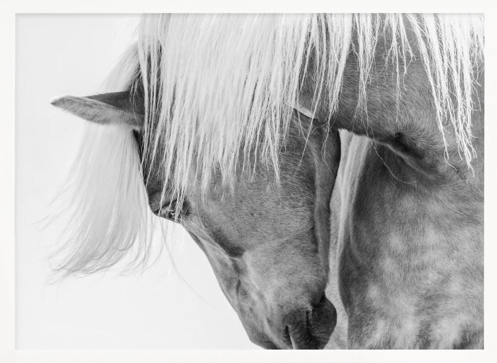 Halfling Portrait - Poster / Art Print