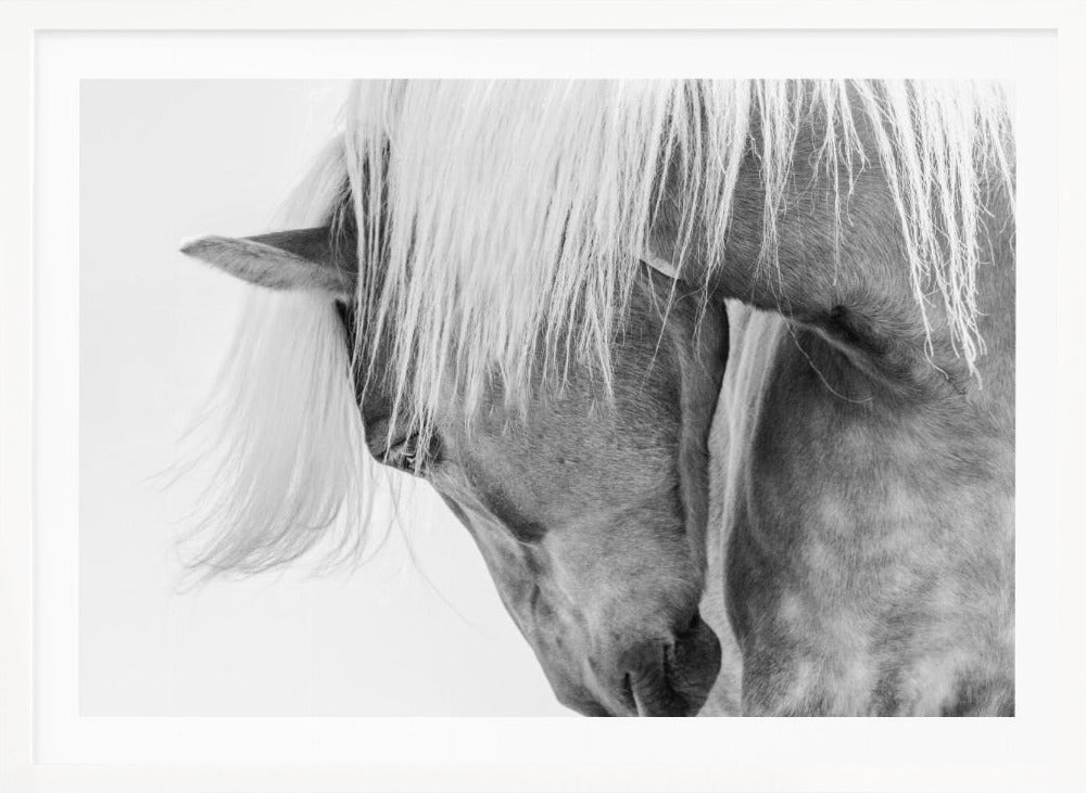 Halfling Portrait - Poster / Art Print