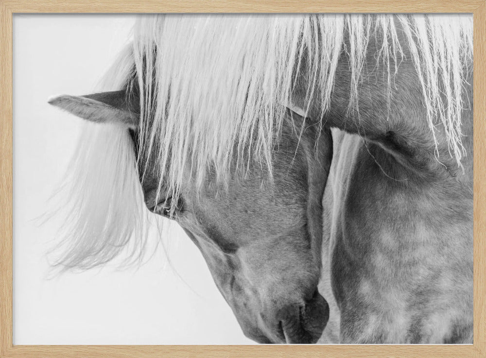 Halfling Portrait - Poster / Art Print