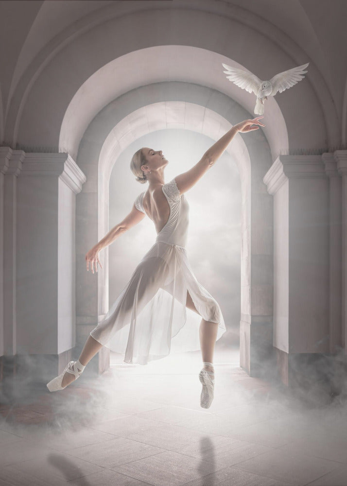 BirdDance - Poster / Art Print