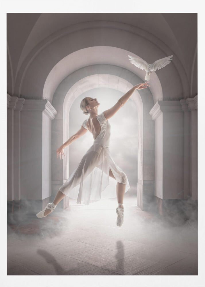 BirdDance - Poster / Art Print