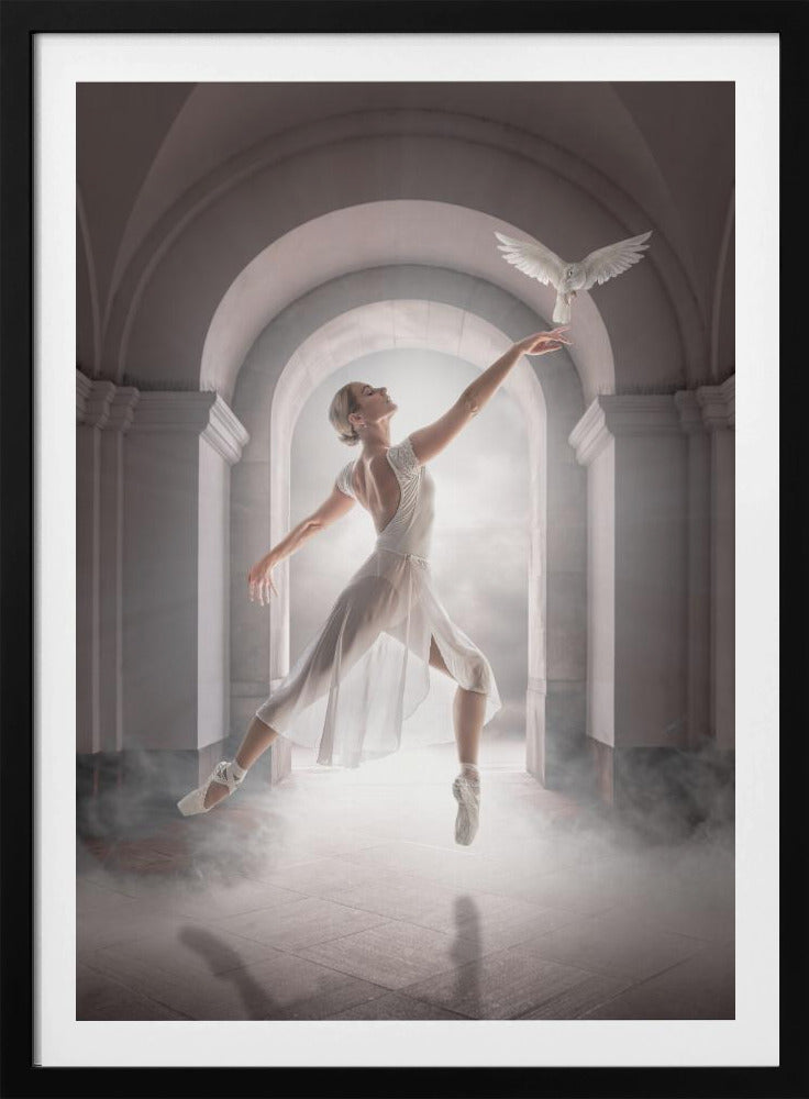 BirdDance - Poster / Art Print